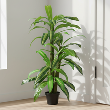 Artificial Dracaena  set of 3 plants  5 feet height