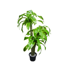 Artificial Dracaena  set of 3 plants  5 feet height
