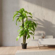 Artificial Dracaena  set of 3 plants  5 feet height