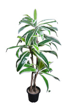 Artificial Dracaena set of 3 plant  5 feet height