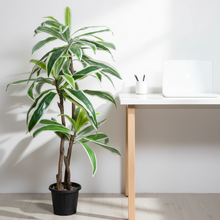 Artificial Dracaena set of 3 plant  5 feet height