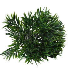 Artificial Mini Bamboo topiary Plant