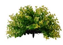 Artificial Hackleberry topiary Plant