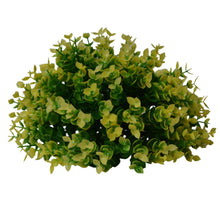 Artificial Hackleberry topiary Plant