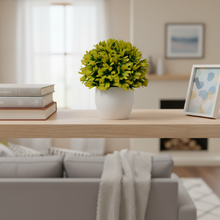 Artificial  Euphorbia topiary Plant