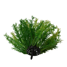 Artificial Cypress leaves topiary Plant