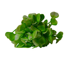 Artificial water plant topiary Plant