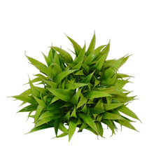 Artificial Bamboo topiary Plant