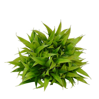 Artificial Bamboo topiary Plant
