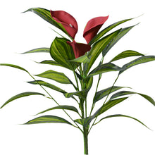 Artificial Real Touch Calla Lily plant (size 28inch)