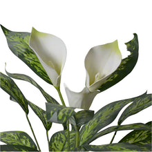 Artificial Real Touch Calla Lily plant (size 28inch)