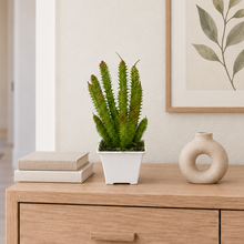 Artificial Succulent Spike Cactus Plant in pot (Height 19 cm )