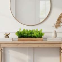 Artificial Plant Bunch in Wood Planter