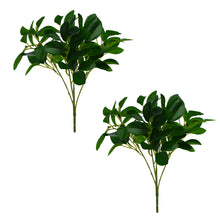 fancymart Artificial Rubber Plant Set of 2 (30cm) - Lifelike Greenery for Stylish Home & Office Decor