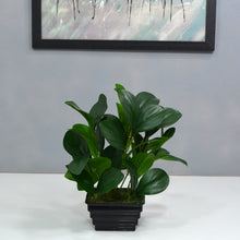 Fancy mart Artificial Plant Rubber Big Leaves with Pot (Height : 30 cm)