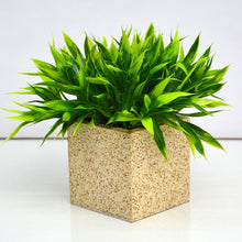 fancymart Artificial Bamboo Leaves Plant in Designer Pot (Height 20 cm)
