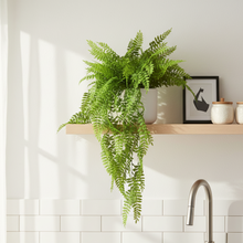 Artificial Boston Fern Vine Hanging  (Height 70 x width 20 cm)