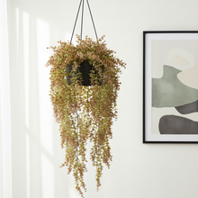 Artificial Eucalyptus Vine Hanging  (Height 70 x width 20 cm)