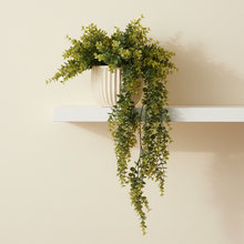 Artificial Eucalyptus Vine Hanging  (Height 70 x width 20 cm)