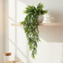 Artificial Eucalyptus Vine Hanging  (Height 70 x width 20 cm)
