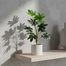 Artificial 12 Maple Leaves Plant