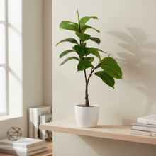 Artificial 2 forks 19 leaves small tree