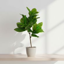 Artificial 3 prongs plant