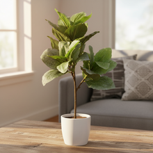 Artificial 3 prongs plant