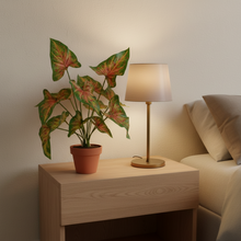 Artificial 12 handles Plant