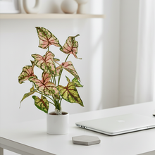 Artificial 12 handles Plant