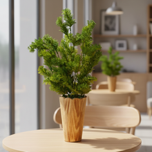 Artificial corriender in long wooden Pot (Height 50 x width 25 cm)
