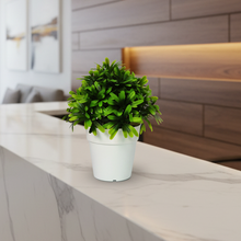Artificial Topiary Plant Leave in Pot ( Height 20 x Width 18 cm)