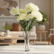 New Carnation sticks without pot (Height : 40 x Width : 20 cm)