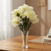 New Carnation sticks without pot (Height : 40 x Width : 20 cm)