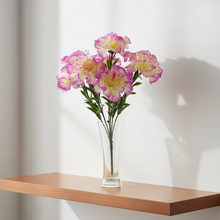 New Carnation sticks without pot (Height : 40 x Width : 20 cm)