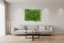 Wall Mat - Euphorbia Green Leaves ( 24 * 16 Inch)