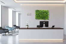 Wall Mat - Euphorbia Green Leaves ( 24 * 16 Inch)