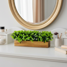 fancymart Artificial Leaves in Wood Planter (Width 30 cm)