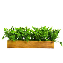 fancymart Artificial Leaves in Wood Planter (Width 30 cm)