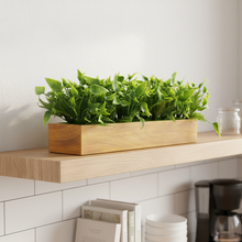 fancymart Artificial Leaves in Wood Planter (Width 30 cm)