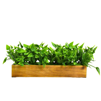 fancymart Artificial Leaves in Wood Planter (Width 30 cm)