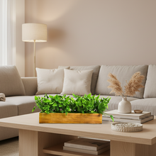fancymart Artificial Leaves in Wood Planter (Width 30 cm)