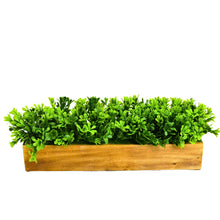 fancymart Artificial Leaves in Wood Planter (Width 30 cm)