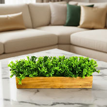 fancymart Artificial Leaves in Wood Planter (Width 30 cm)