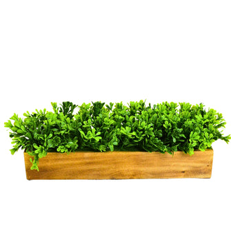 fancymart Artificial Leaves in Wood Planter (Width 30 cm)