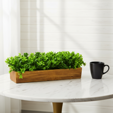 fancymart Artificial Leaves in Wood Planter (Width 30 cm)