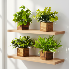 Artificial Potted Plants in Wooden Pot (4 Pack)