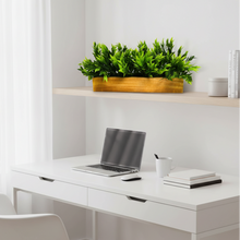 Artificial Leaves in Wooden Rectangular Tray - Width 30 cm