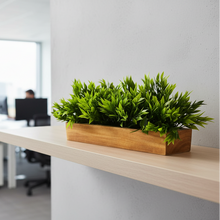 Artificial Leaves in Wooden Rectangular Tray - Width 30 cm