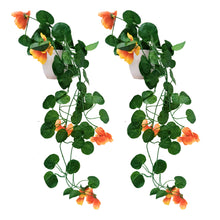 Artificial Flower Vine Plant Falling with Pot : Pack of 2 (Natural Touch & Feel)| Home D‚cor with Small Size Pot |plant hanging for Home Decor | Office Decor | Size 45 X 17 X 7 CM | 8161